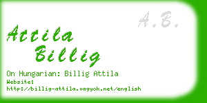 attila billig business card